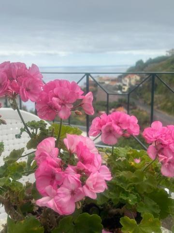 Affittacamere Casa Do Pico Ribeira Brava Esterno foto